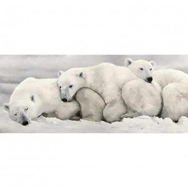 TOILE 30X97 FAMILLE OURS