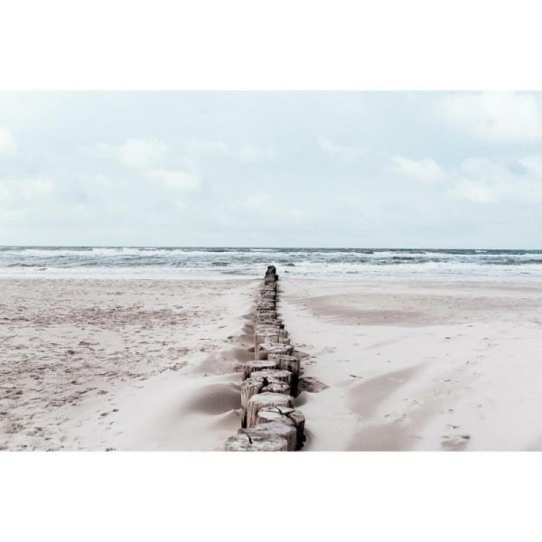 TOILE 30X45 CHEMIN DE TRONC