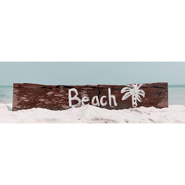 TOILE 30X97 BOIS BEACH
