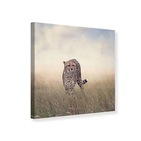 TOILE 30X30 GUEPARD