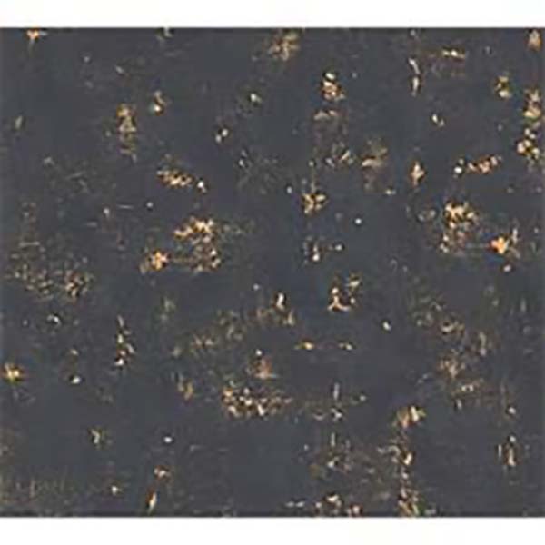 PAPIER PEINT EXP INTERIEUR USED LOOK NOIR OR