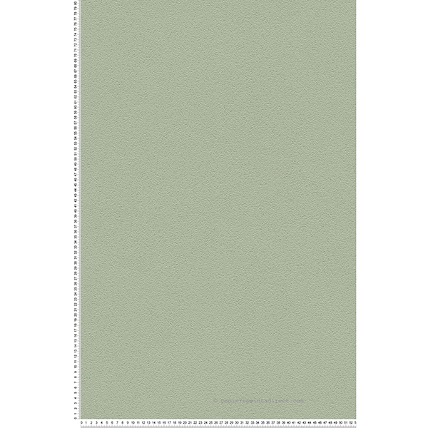 PAPIER PEINT PV INTERIEUR UNI BERING LICHEN