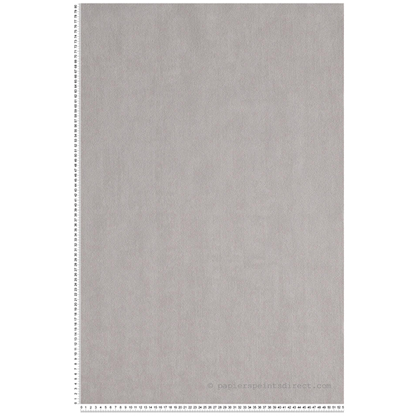 PAPIER PEINT PV INTERIEUR UNI BERING GRIS PERLE