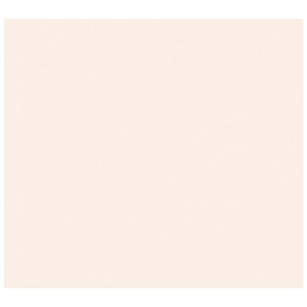 PAPIER PEINT PV INTERIEUR PARIS UNI BLUSH