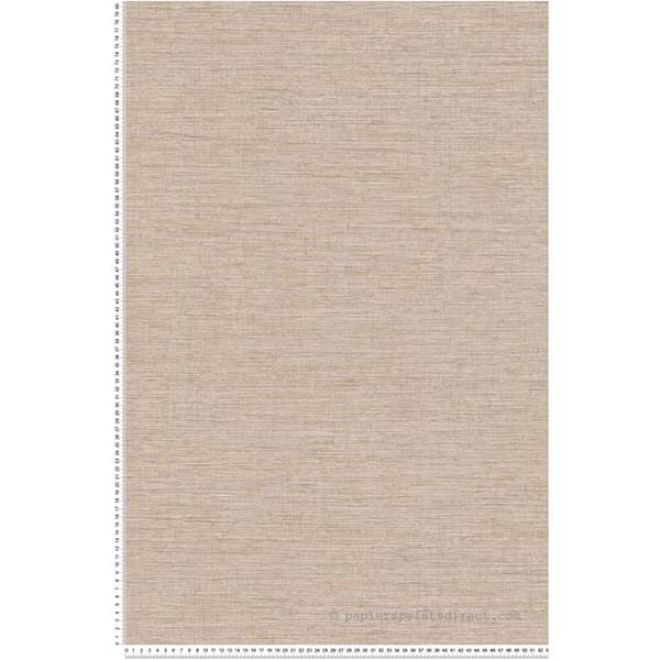 PAPIER PEINT PV INTERIEUR FX UNI PAILLE JAPO BEIGE OR