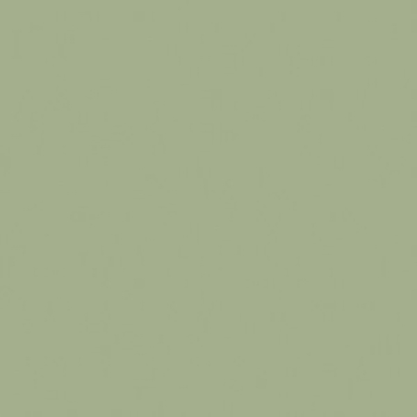 PAPIER PEINT PV INTERIEUR BERING GRIS VERT LISSE