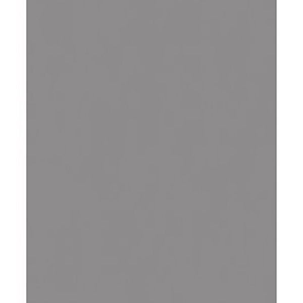 PAPIER PEINT PV INTERIEUR BERING SOURIS LISSE