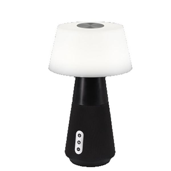 LAMPE DE TABLE REALITY DJ INCL. 3W LED 3000-6000K 250LM