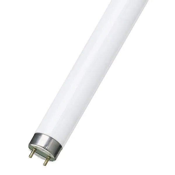 LAMPE TUBE FLUO 1,2M 36W