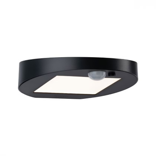 APPLIQUE EXTERIEUR SOLAIRE RYSE AVEC DETECTEUR DE MOUVEMENT IP44 100LM