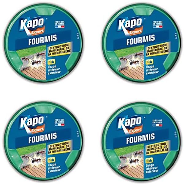 KAPO BOITE FOURMIS MAXI X4 BOX