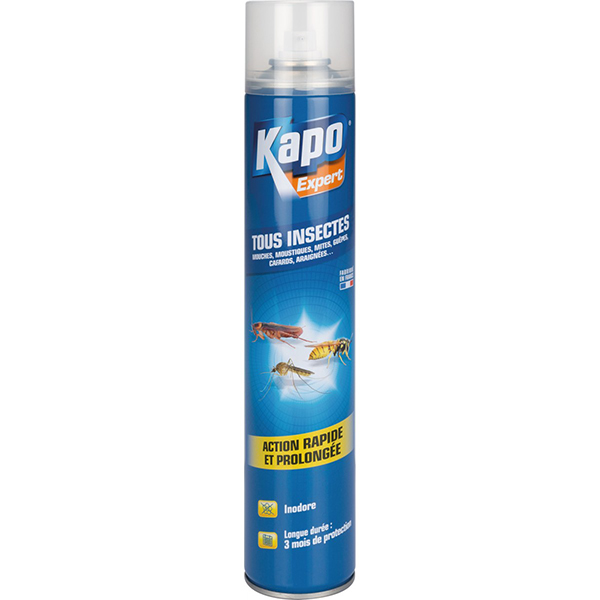 KAPO EXPERT BAR TI PULVERISATEUR 1L