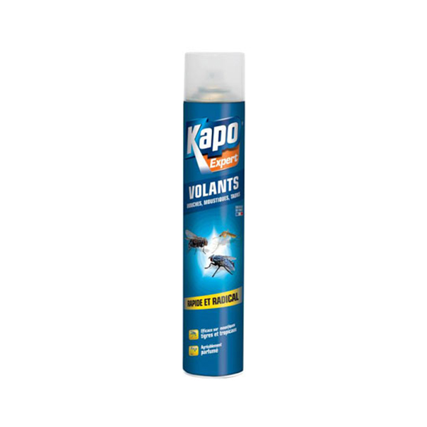 KAPO EXPERT INSECTE VOLANT M36 A 750ML