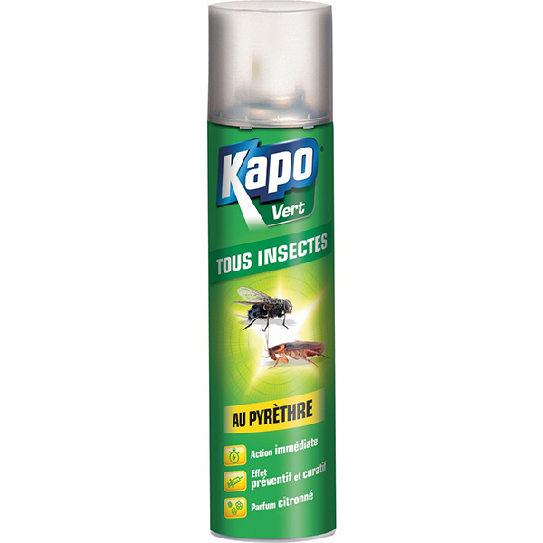 KAPO EXPERT TI AEROSOL M12 A 300ML
