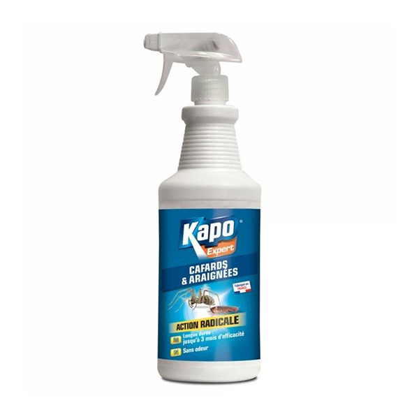 KAPO EXPERT BOITE CAFARD X4