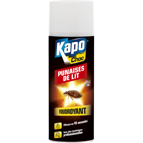 KAPO CHOC PUNAISE DE LIT AEROSOL M16 A 400ML
