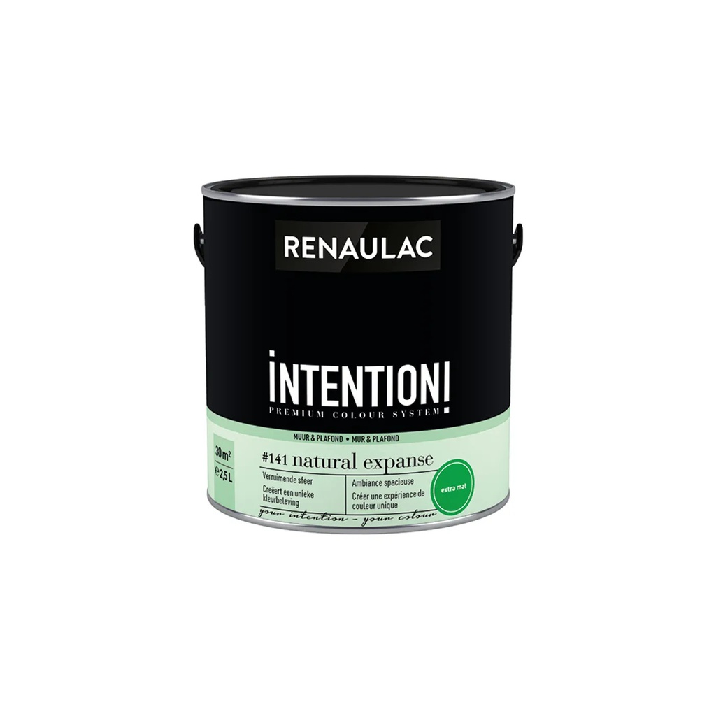 RENAULAC INTENTION MUR &amp; PLAFOND EXTRA MAT NATURAL EXP 2,5L