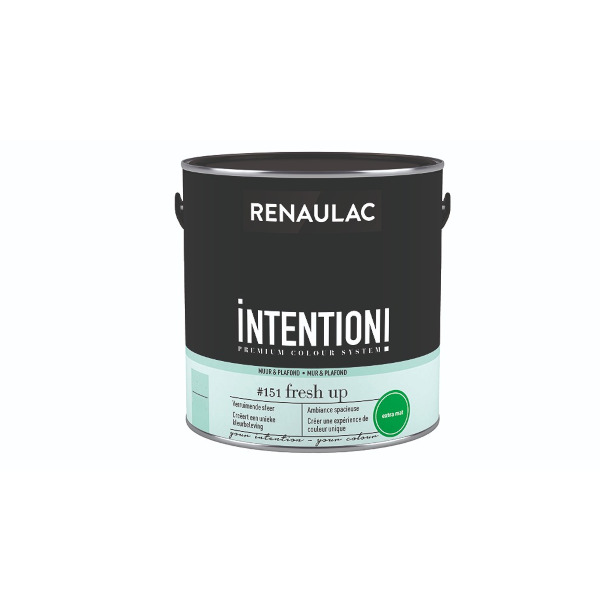 RENAULAC INTENTION MUR &amp; PLAFOND EXTRA MAT FRESH UP 125ML
