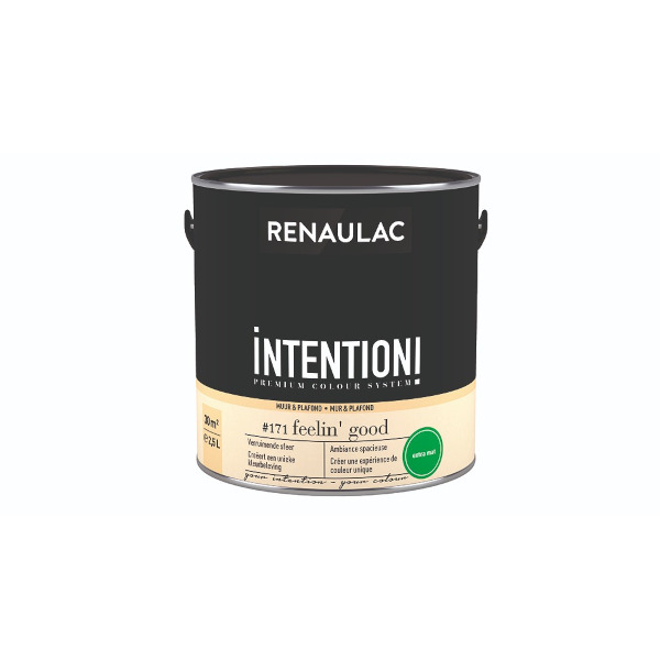 RENAULAC INTENTION MUR &amp; PLAFOND EXTRA MAT FEELIN GOOD 125ML