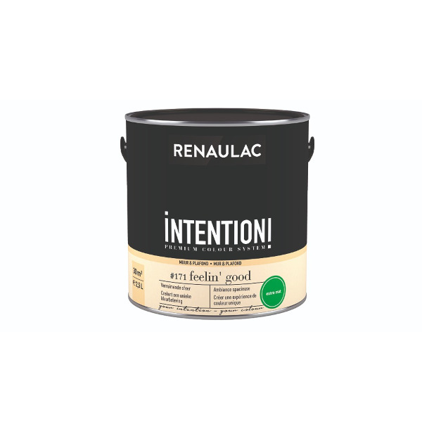 RENAULAC INTENTION MUR &amp; PLAFOND EXTRA MAT FEELIN GOOD 2,5L