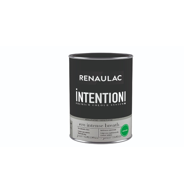 RENAULAC INTENTION MUR &amp; PLAFOND EXTRA MAT INTENSE BREATH 2,5L