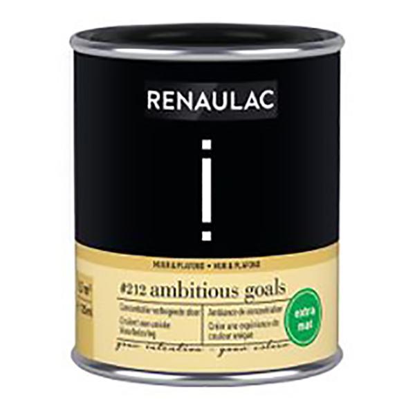 RENAULAC INTENTION MUR &amp; PLAFOND EXTRA MAT AMBITIOUS GO 125ML