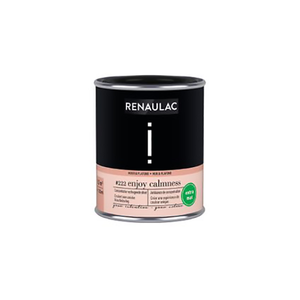 RENAULAC INTENTION MUR &amp; PLAFOND EXTRA MAT ENJOY CALMNESS 125ML