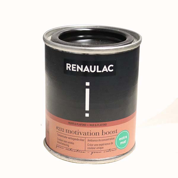 RENAULAC INTENTION MUR &amp; PLAFOND EXTRA MAT MOTIVATION BOOST 125ML