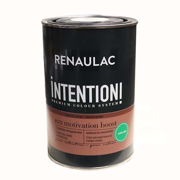 RENAULAC INTENTION MUR &amp; PLAFOND EXTRA MAT MOTIVATION BOOST 1L
