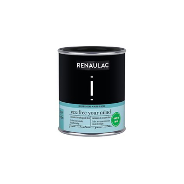 RENAULAC INTENTION MUR &amp; PLAFOND EXTRA MAT FREE MIND 125ML