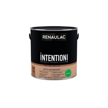 RENAULAC INTENTION MUR &amp; PLAFOND EXTRA MAT DETAIL 1L