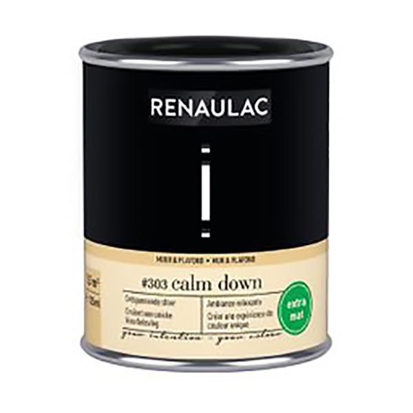 RENAULAC INTENTION MUR &amp; PLAFOND EXTRA MAT CALM DOWN 125ML