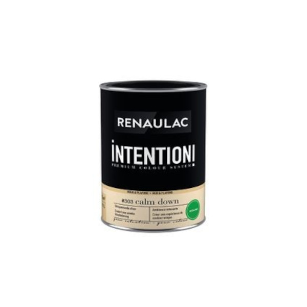 RENAULAC INTENTION MUR &amp; PLAFOND EXTRA MAT CALM DOWN 1L