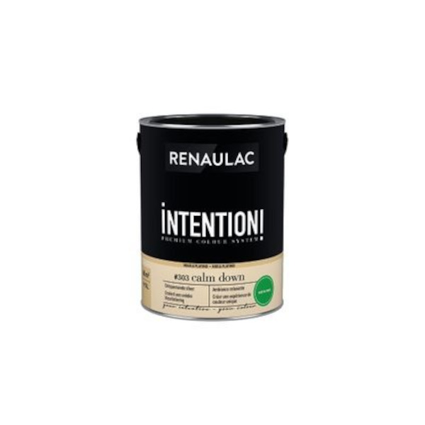 RENAULAC INTENTION MUR &amp; PLAFOND EXTRA MAT EMBRACE 1L