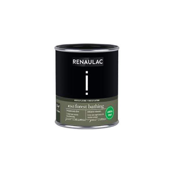 RENAULAC INTENTION MUR &amp; PLAFOND EXTRA MAT FOREST BATH 125ML