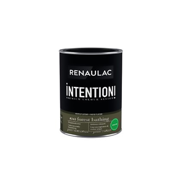 RENAULAC INTENTION MUR &amp; PLAFOND EXTRA MAT FOREST BATH 1L