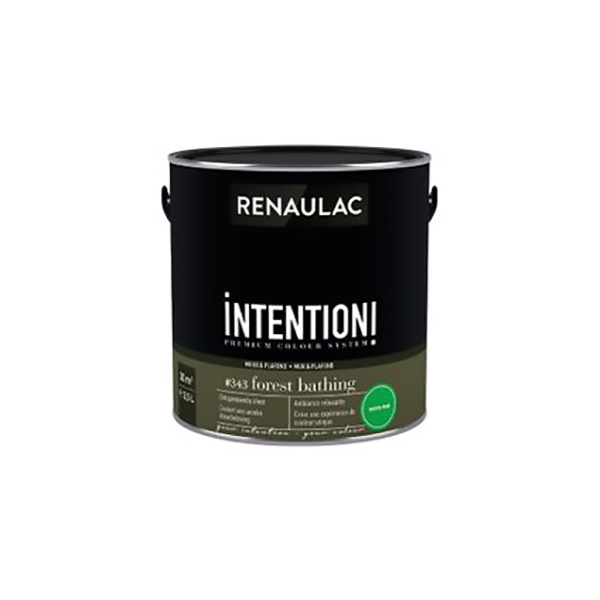 RENAULAC INTENTION MUR &amp; PLAFOND EXTRA MAT FOREST BATH 2,5L