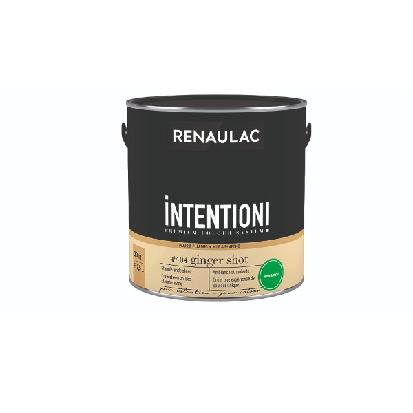 RENAULAC INTENTION MUR &amp; PLAFOND EXTRA MAT GINGER SHOT 2,5L