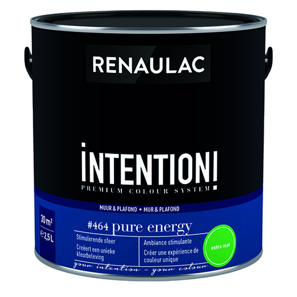 RENAULAC INTENTION MUR &amp; PLAFOND EXTRA MAT PURE ENERGY 2,5L