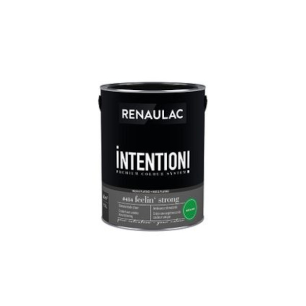 RENAULAC INTENTION MUR &amp; PLAFOND EXTRA MAT FEELIN STRONG 125ML