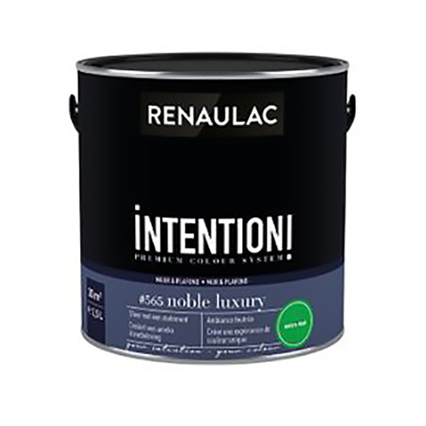 RENAULAC INTENTION MUR &amp; PLAFOND EXTRA MAT NOBLE LUXURY 125ML