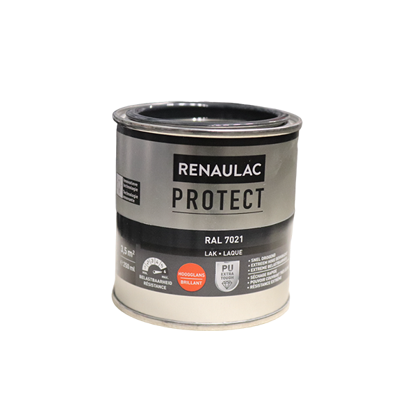 RENAULAC PROLAQ 0,25L RAL 7021