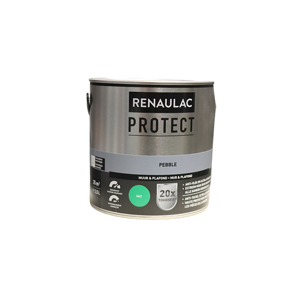 PEINTURE A L EAU INTERIEUR RENAULAC PROTECT MAT PEEBLE 2,5L