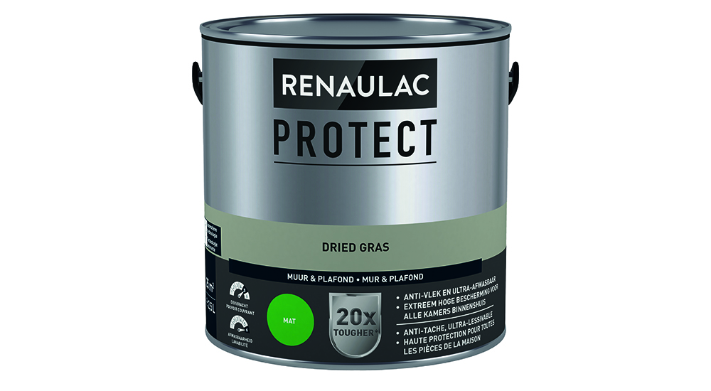 PEINTURE A L EAU INTERIEUR RENAULAC PROTECT MAT DRIED GLASS 2,5L