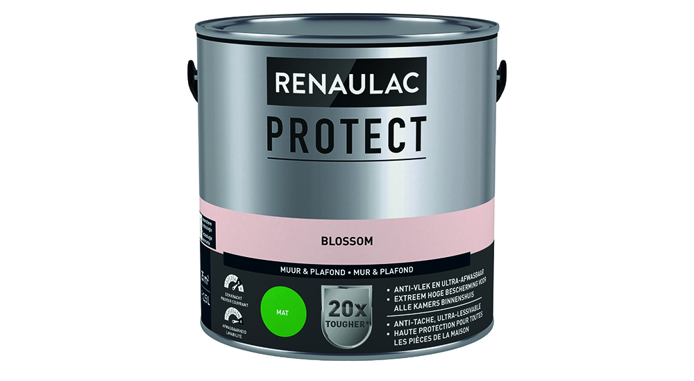 PEINTURE A L EAU INTERIEUR RENAULAC PROTECT MAT BLOSSOM 2,5L