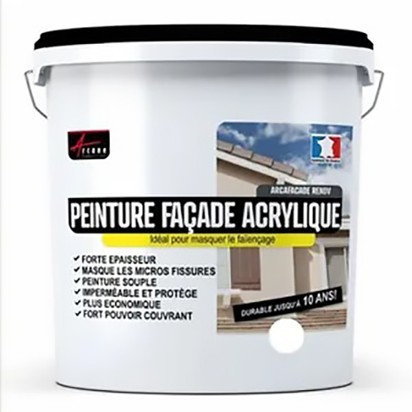 PEINTURE FACADE BLANC 4L (WEATHER GUARD WHITE)