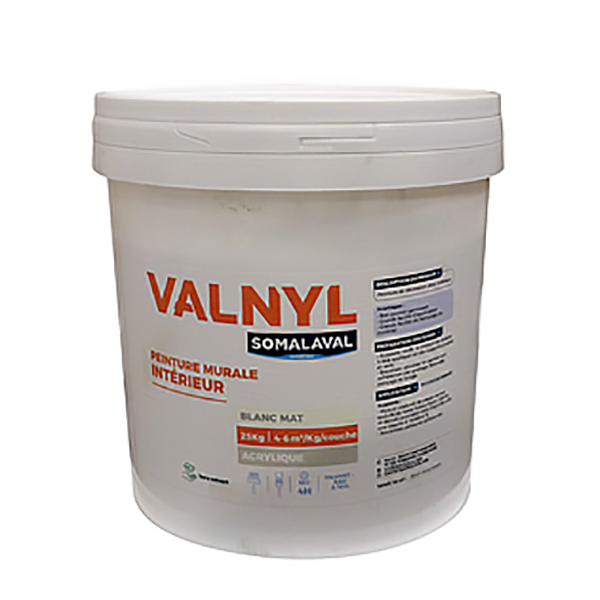 VALNYL INTERIEUR BLANC 25KG