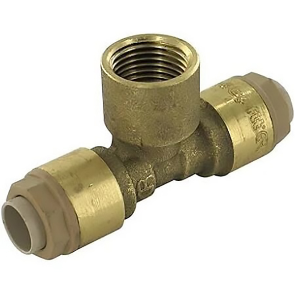 RSO TE FEMELLE AU CENTRE D14 - F 1/2 - D14 LIEN 1PIECE