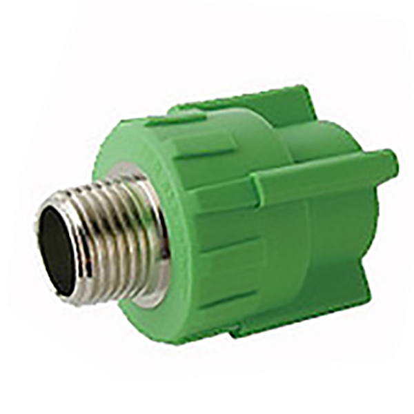 EMBOUT FILETE PPR D25 1/2-