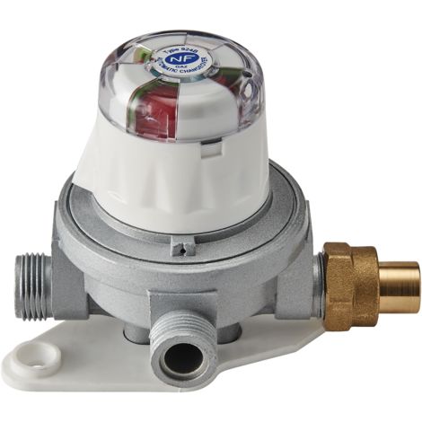INVERSEUR AUTOMATIQUE BUTANE NF 2.6KG/H-500MBAR-ENTREE/SORTIE M20/150